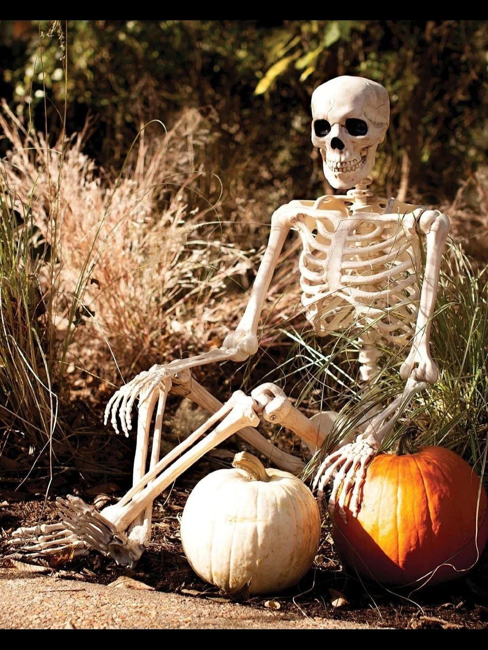 5FT Life-Size Pose-N-Stay Posable Halloween Skeleton Decor NWT